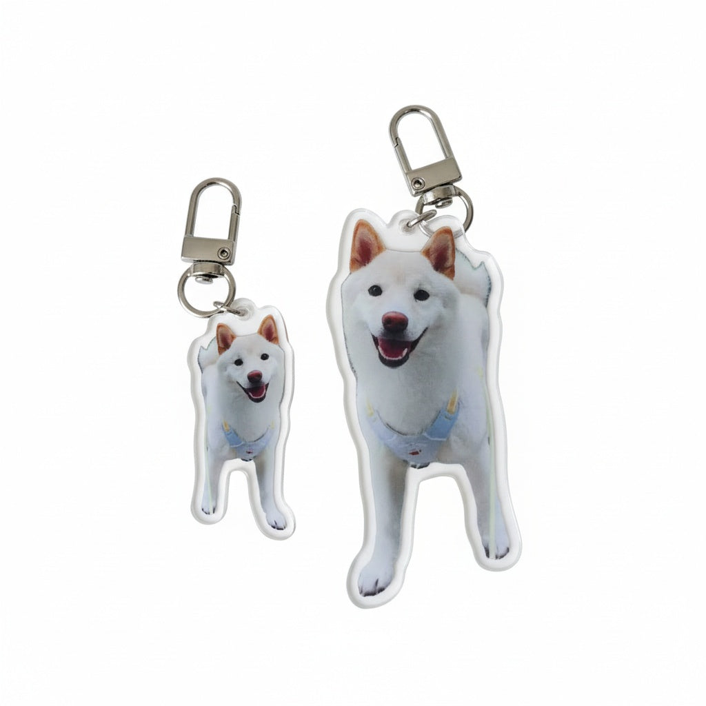 Personalized Pet Portrait Keychain