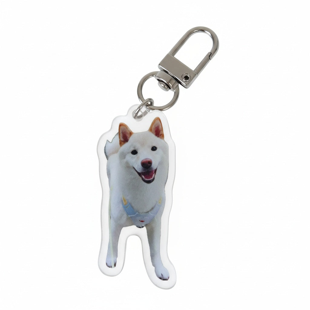 Personalized Pet Portrait Keychain